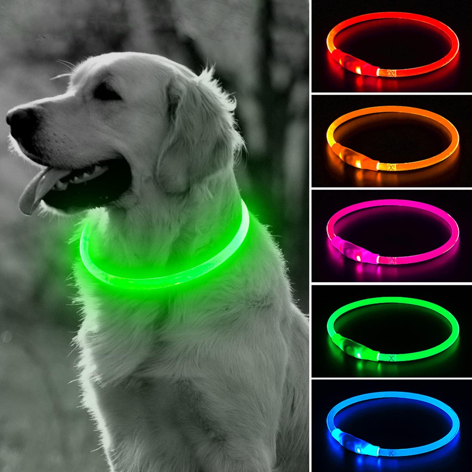 Glow in The Dark - Keep Your Pet Safe and Seen After Dark